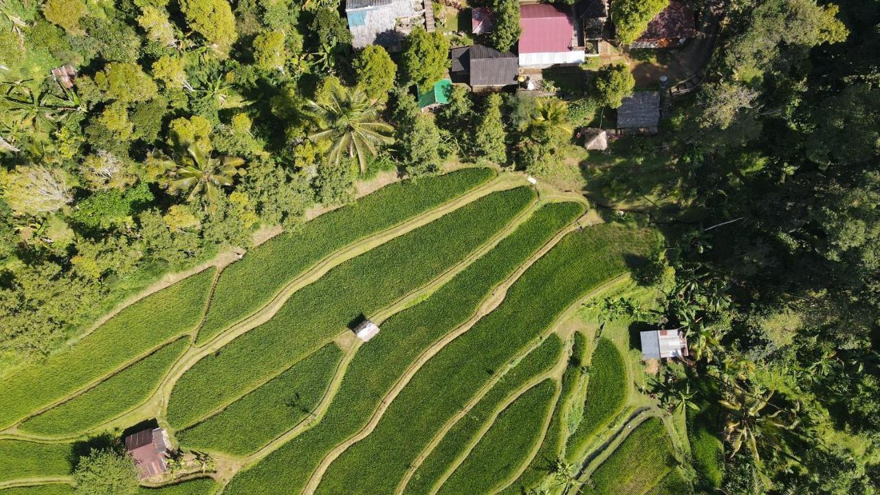 Friendly Homestay Lemukih Сінгараджа Екстер'єр фото